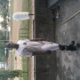 michael odoom michael odoom